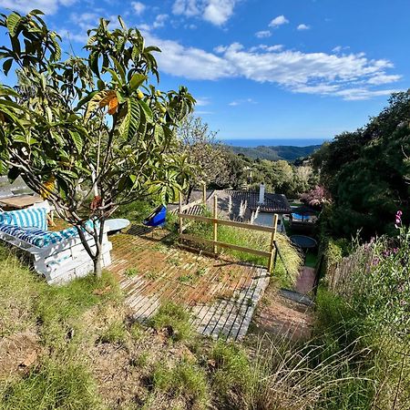 Casa Paraíso Piscina Tranquilidad Sant Cebrià de Vallalta Exterior foto